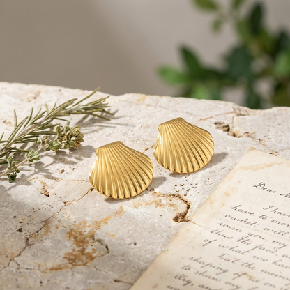 Coral Shell Studs