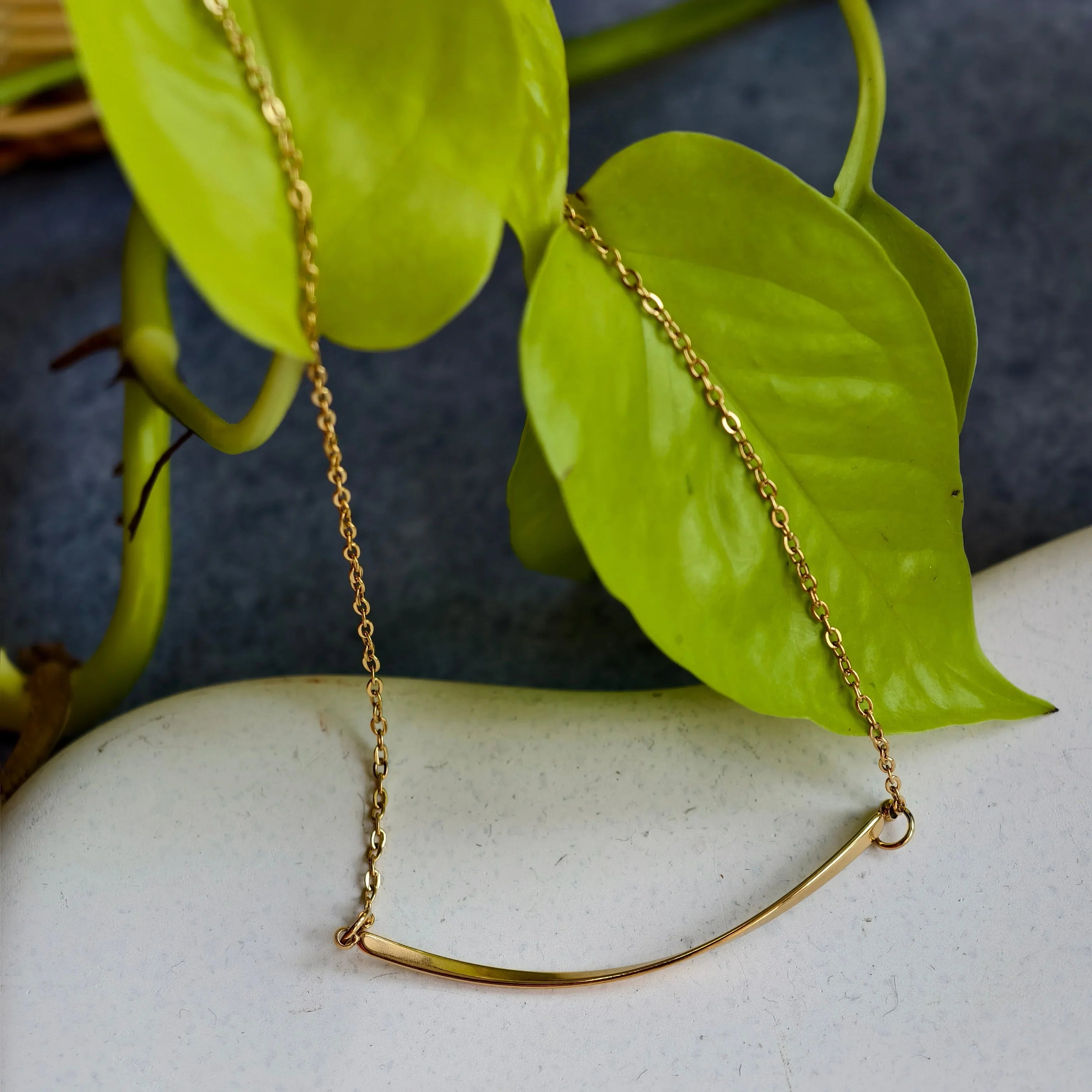 Delicate gold curved bar necklace with thin chain on light surface and green leaves